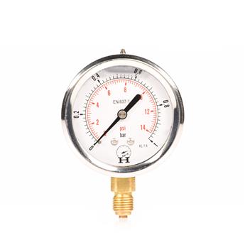 Manometr Glicerynowy Dolny 600 bar-3848